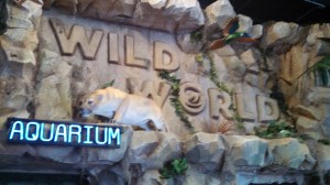 Branson's Wild World.