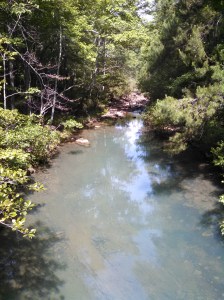 Iron Springs in the Ouachita National Forest.