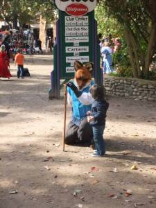 10609423_10204095599723506_1567296889366379351_n