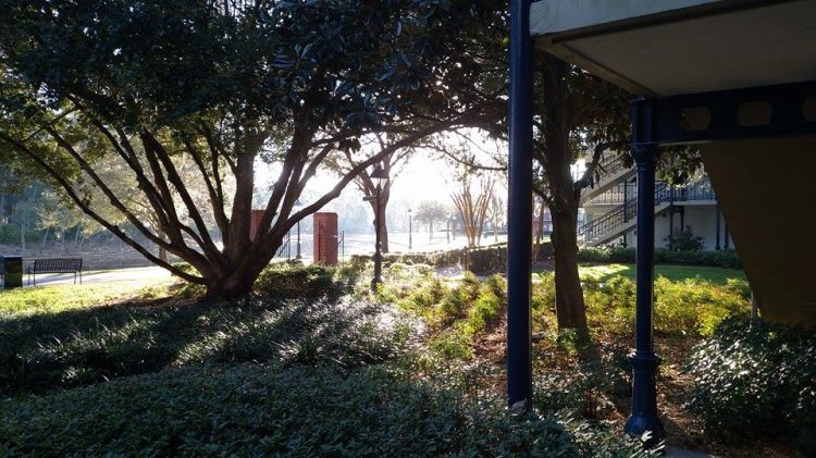 12744455_10207299206531674_1569189381409370782_n