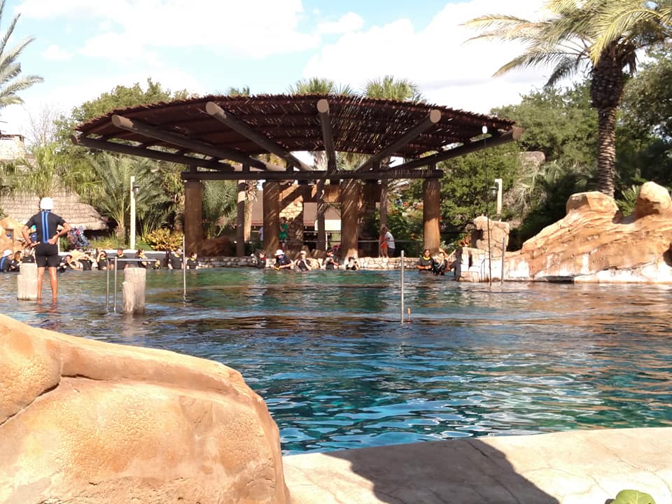 37340815_10214798025477461_7887701198516518912_n