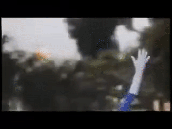 WildAggressiveIndianpalmsquirrel-size_restricted